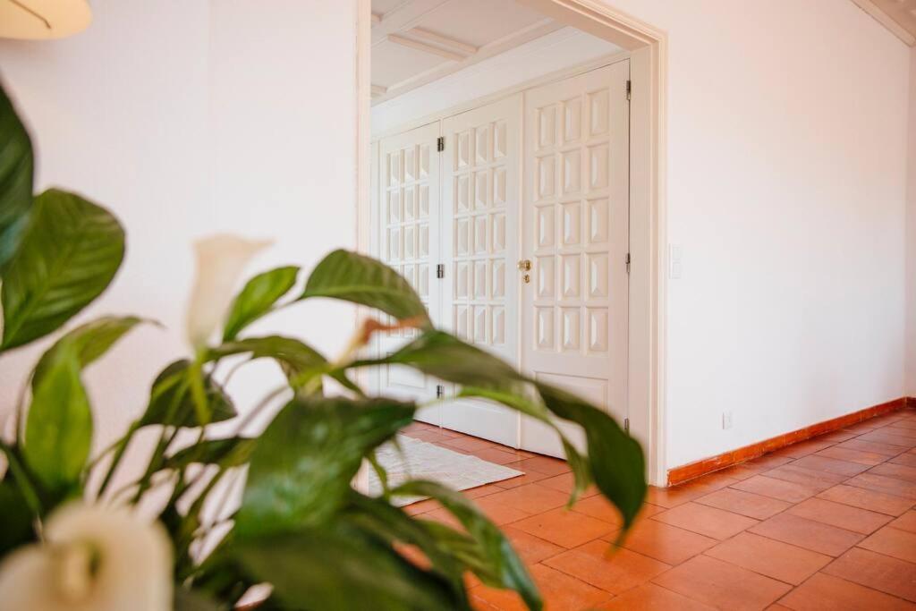 Penthouse S.Jorge Seaview T4 Leilighet Quarteira Eksteriør bilde